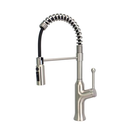 Stainless Steel Pull Out 3 Way Filter Tap 
