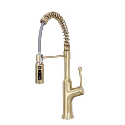 Satin Brass Single Handle Pull Out 3 Way Filetr Tap